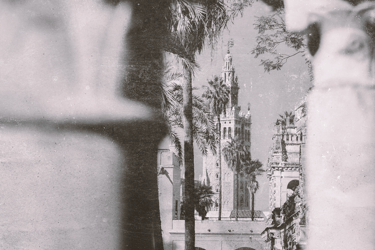 pasando a denominarse Saimaza S