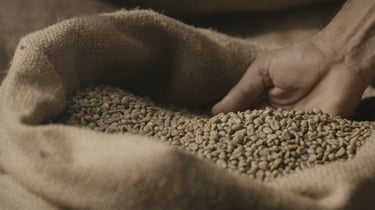 Bolsa de granos de cafe