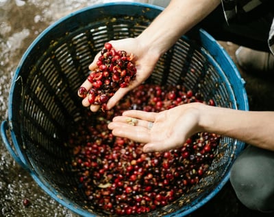 abastecimiento banner